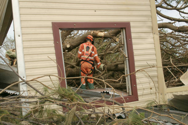 Trusted Gilroy, CA Tree Services Experts